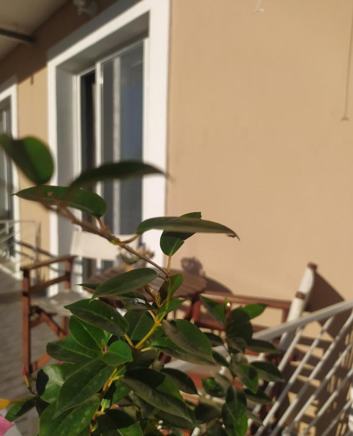 Apartmani Vico Herceg Novi Esterno foto